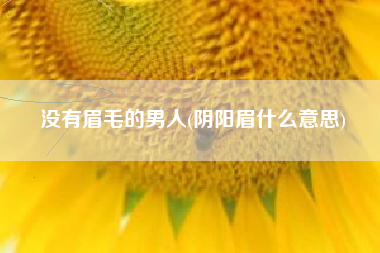 没有眉毛的男人(阴阳眉什么意思)