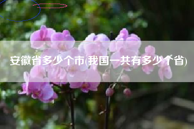安徽省多少个市(我国一共有多少个省)