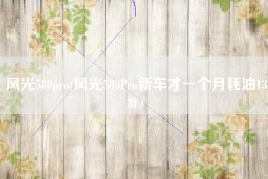 风光580pro(风光580Pro新车才一个月耗油138L)
