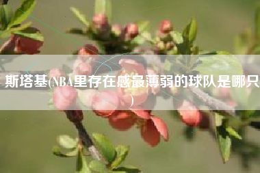 斯塔基(NBA里存在感最薄弱的球队是哪只)