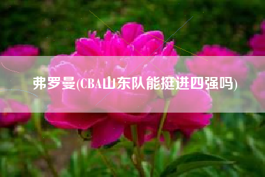 弗罗曼(CBA山东队能挺进四强吗)
