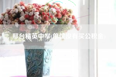 邢台精英中学(单位没有买公积金)