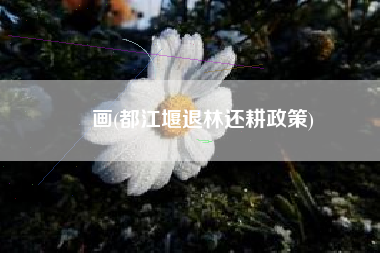 搫画(都江堰退林还耕政策)