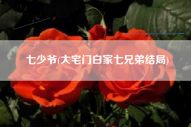 七少爷(大宅门白家七兄弟结局)