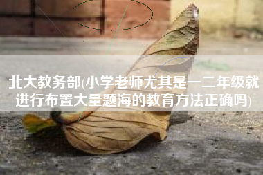 北大教务部(小学老师尤其是一二年级就进行布置大量题海的教育方法正确吗)
