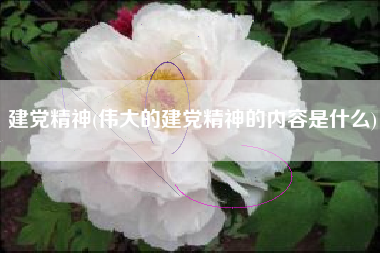 建党精神(伟大的建党精神的内容是什么)