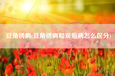 豆角锈病(豆角锈病和炭疽病怎么区分)