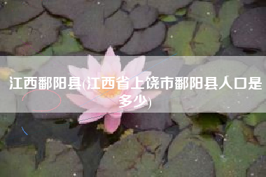 江西鄱阳县(江西省上饶市鄱阳县人口是多少)