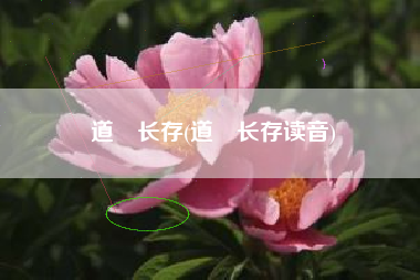 道炁长存(道炁长存读音)