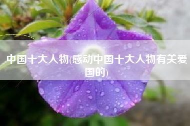 中国十大人物(感动中国十大人物有关爱国的)