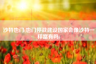 沙特也门(也门停战建设国家会像沙特一样富有吗)