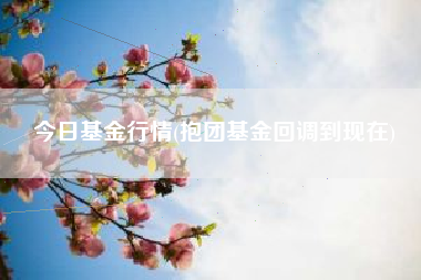 今日基金行情(抱团基金回调到现在)