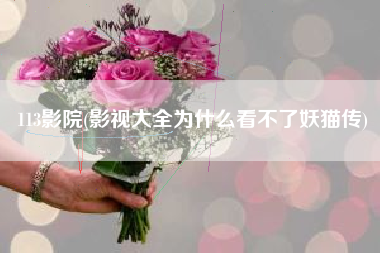 113影院(影视大全为什么看不了妖猫传)