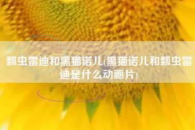 瓢虫雷迪和黑猫诺儿(黑猫诺儿和瓢虫雷迪是什么动画片)