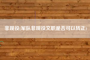 非现役(军队非现役文职是否可以转正)