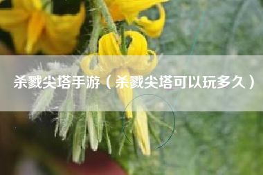 杀戮尖塔手游(杀戮尖塔可以玩多久) 杀戮尖塔手游(杀戮尖塔可以玩多久)