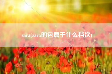 zara(zara的包属于什么档次)