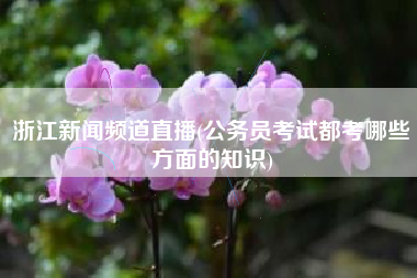 浙江新闻频道直播(公务员考试都考哪些方面的知识)