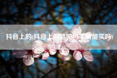 抖音上的(抖音上的骆驼马丁靴能买吗)