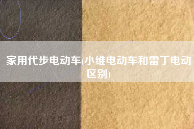 家用代步电动车(小维电动车和雷丁电动区别)