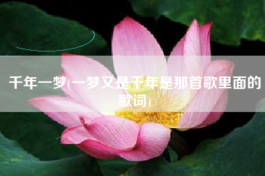 千年一梦(一梦又是千年是那首歌里面的歌词)