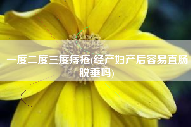 一度二度三度痔疮(经产妇产后容易直肠脱垂吗)