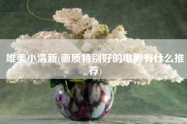 唯美小清新(画质特别好的电影有什么推荐)