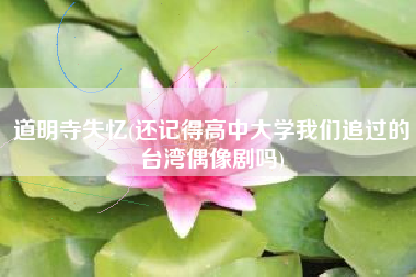 道明寺失忆(还记得高中大学我们追过的台湾偶像剧吗)