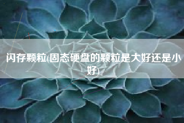 闪存颗粒(固态硬盘的颗粒是大好还是小好)
