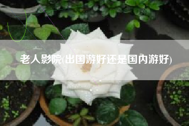 老人影院(出国游好还是国内游好)