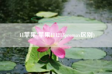 11苹果(苹果111213promax区别)