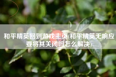 和平精英回到游戏主页(和平精英无响应要将其关闭吗怎么解决)