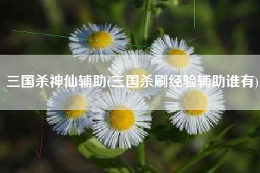 三国杀神仙辅助(三国杀刷经验辅助谁有)