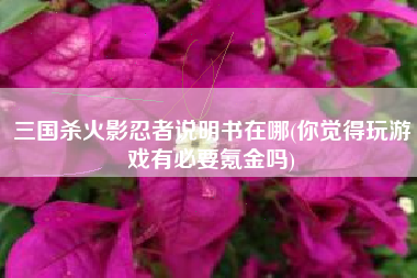 三国杀火影忍者说明书在哪(你觉得玩游戏有必要氪金吗)