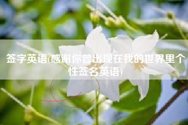 签字英语(感谢你曾出现在我的世界里个性签名英语)