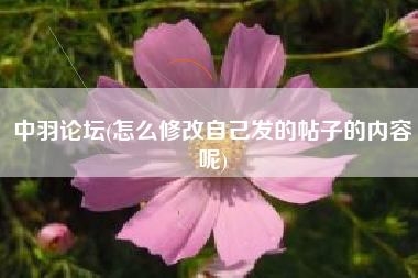 中羽论坛(怎么修改自己发的帖子的内容呢)