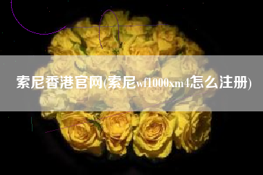 索尼香港官网(索尼wf1000xm4怎么注册)