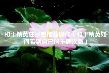 和平精英在哪看推荐操作（和平精英如何看到自己的王牌次数）