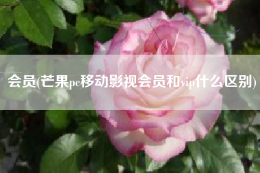 会员(芒果pc移动影视会员和vip什么区别)