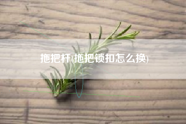 拖把杆(拖把锁扣怎么换)