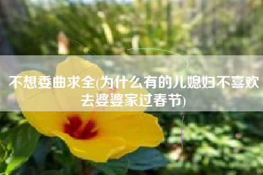 不想委曲求全(为什么有的儿媳妇不喜欢去婆婆家过春节)