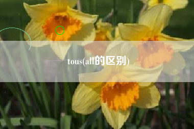 tous(all的区别)