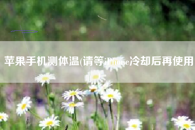 苹果手机测体温(请等iPhone冷却后再使用)