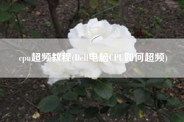 cpu超频教程(Dell电脑CPU如何超频)