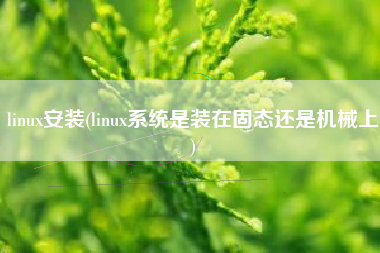 linux安装(linux系统是装在固态还是机械上)