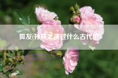 狐友(孙熹之演过什么古代剧)