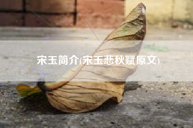 宋玉简介(宋玉悲秋赋原文)