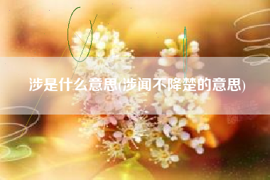 涉是什么意思(涉闻不降楚的意思)