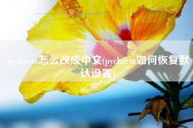 pycharm怎么改成中文(pycharm如何恢复默认设置)