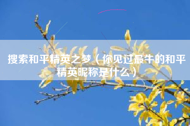 搜索和平精英之梦（你见过最牛的和平精英昵称是什么）